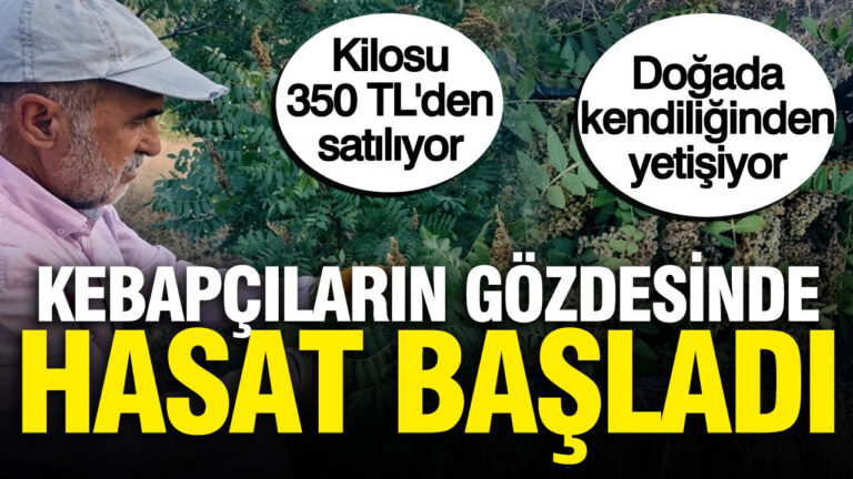 haber-gorseli-1786450446725